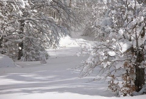 Πολικές θερμοκρασίες στην χώρα! Πού σημειώθηκε η χαμηλότερη θερμοκρασία στην Ελλάδα; 1