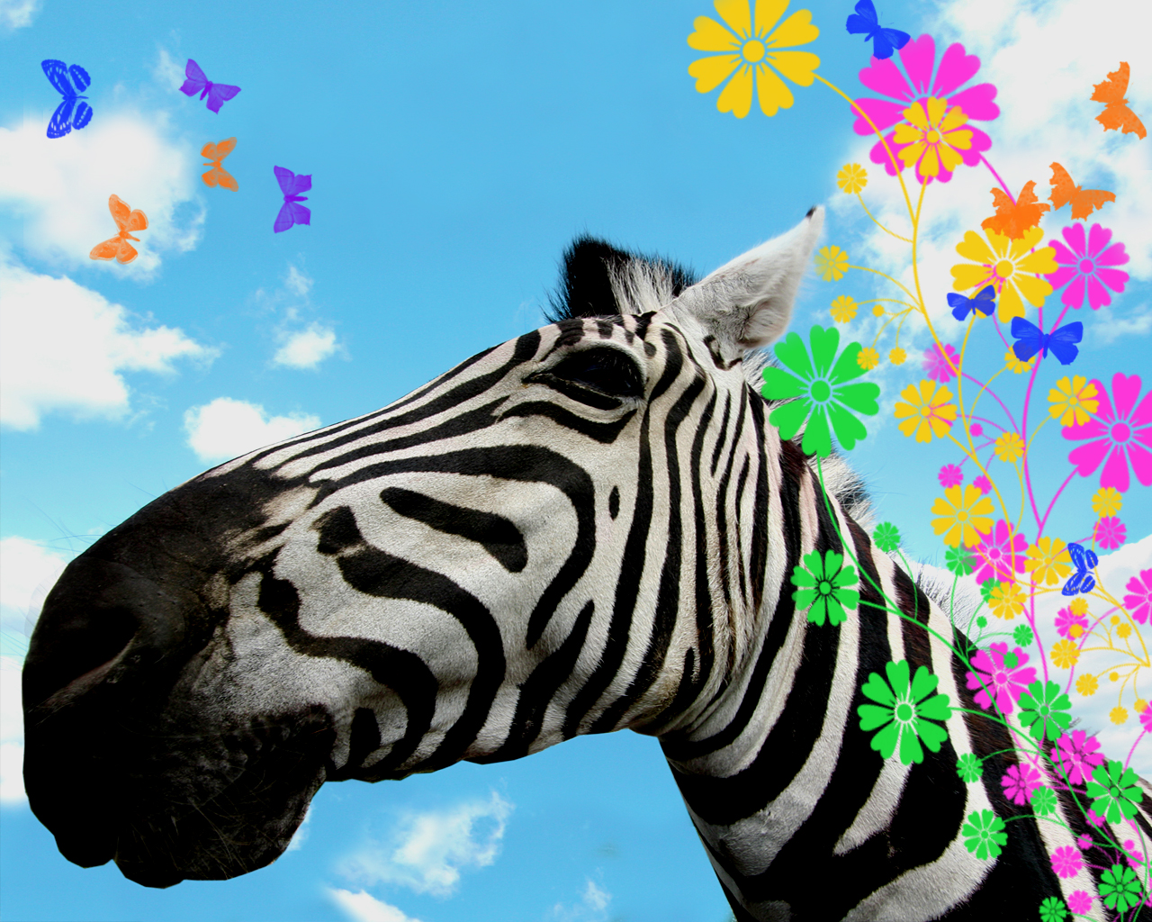Funny Animal: 09/10/11