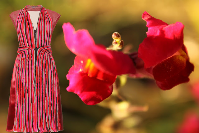Dark red and pink Bottega Veneta dress Dark red and pink Bottega Veneta dress and a snapdragon