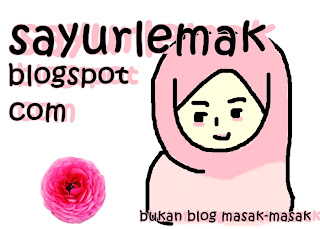 sayurlemak.blogspot.com