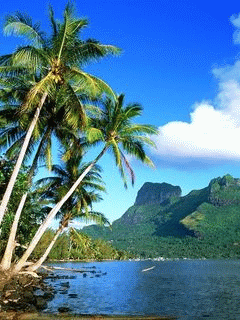 4000+ Wallpaper Animasi Hp Android HD Gratis 4000+ Wallpaper Animasi Hp Android HD Gratis