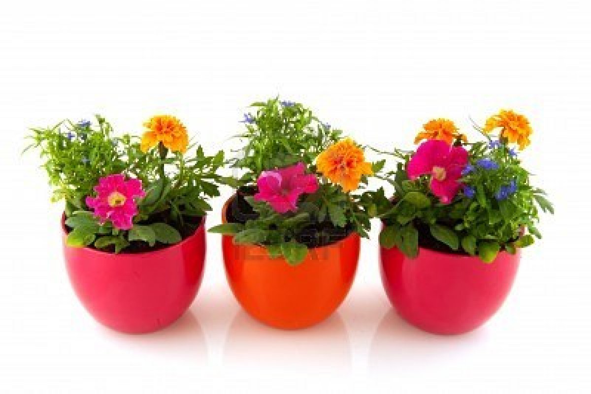 Unique Outdoor Flower Pots