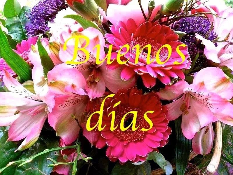 Imágenes con frases de buenos días o noches, imágenes,frases,días,