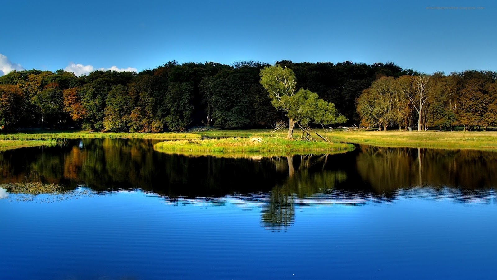 http://4.bp.blogspot.com/-E0pnGqxjBog/UB0Cs0nuzOI/AAAAAAAACIs/uaMhIl83xhI/s1600/amazing_nature_full_hd_wallpaper_070510_09-1920x1080.jpg