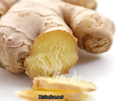 Homemade Summer Remedy For Hair Care Homemade Summer Remedy For Hair Care
