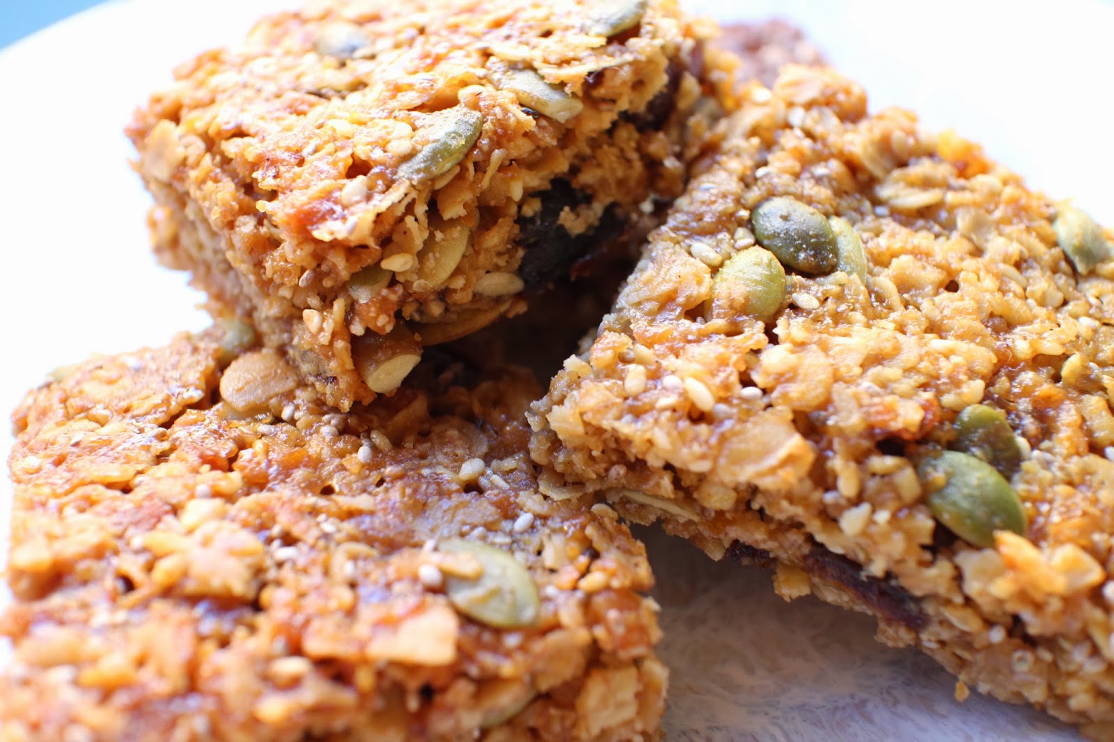 Chewy Fruit & Nut Seed Slice