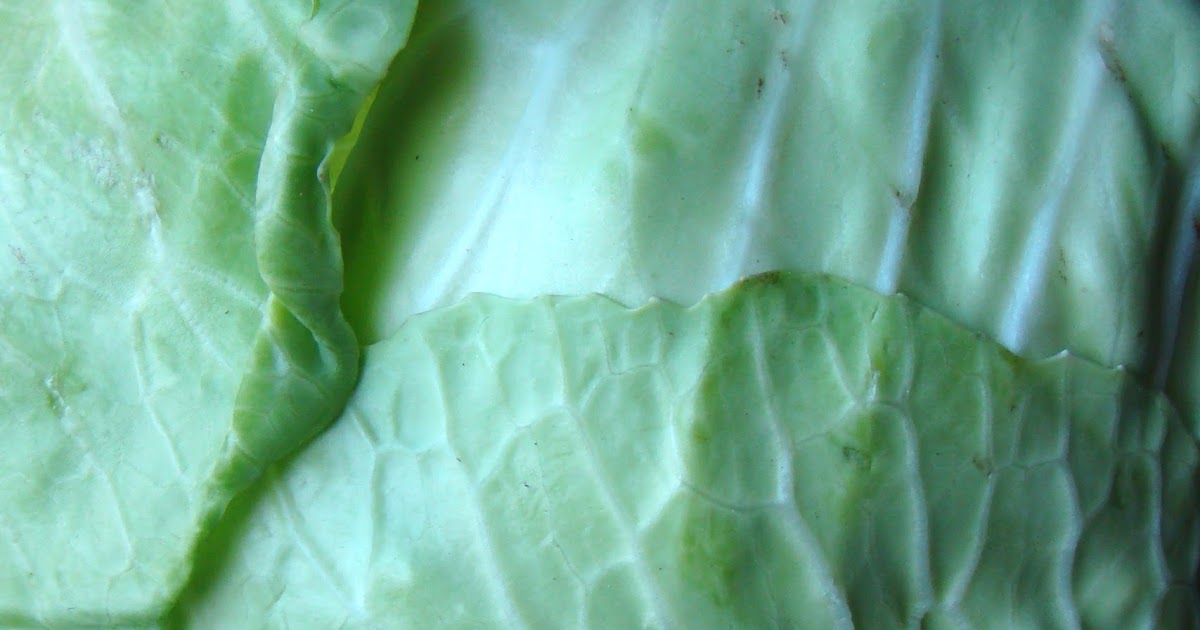 Nourished and Nurtured Can Too Much Sauerkraut Damage Your Thyroid