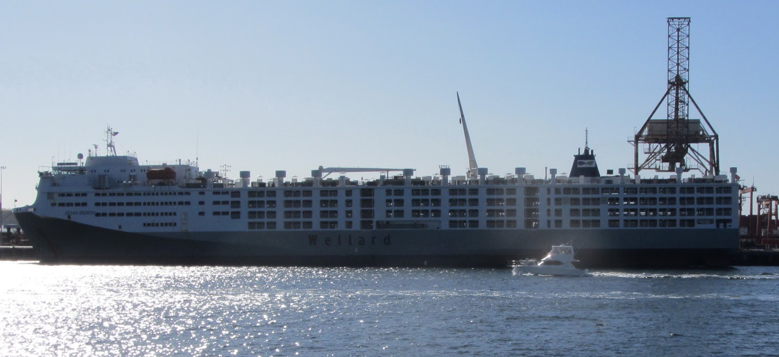 Carlz Boats Livestock Carrier OCEAN DROVER