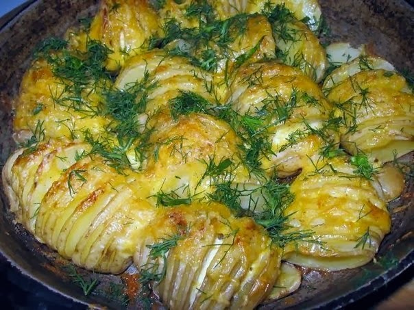 Фото картошки с сыром Фото картошки с сыром