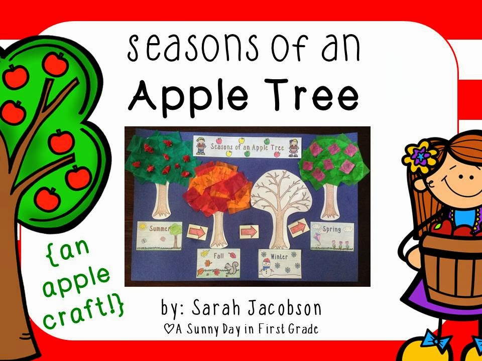 A Sunny Day in First Grade Seasons of an Apple Tree!!