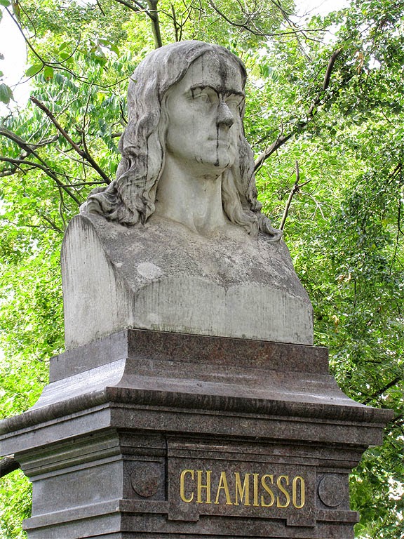 Daily Photo Stream Chamisso