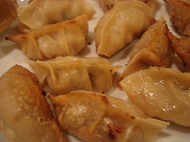 A Kitchen In Brooklyn Sasha's Kitchen Beef Dumplings with Napa Cabbage