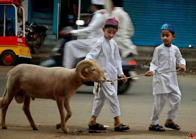 puisi hari raya idul adha