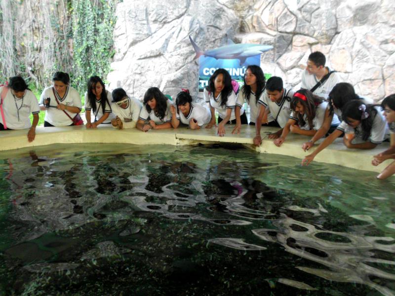 ZOOLOGICO DE GUADALAJARA zoologico de guadalajara: