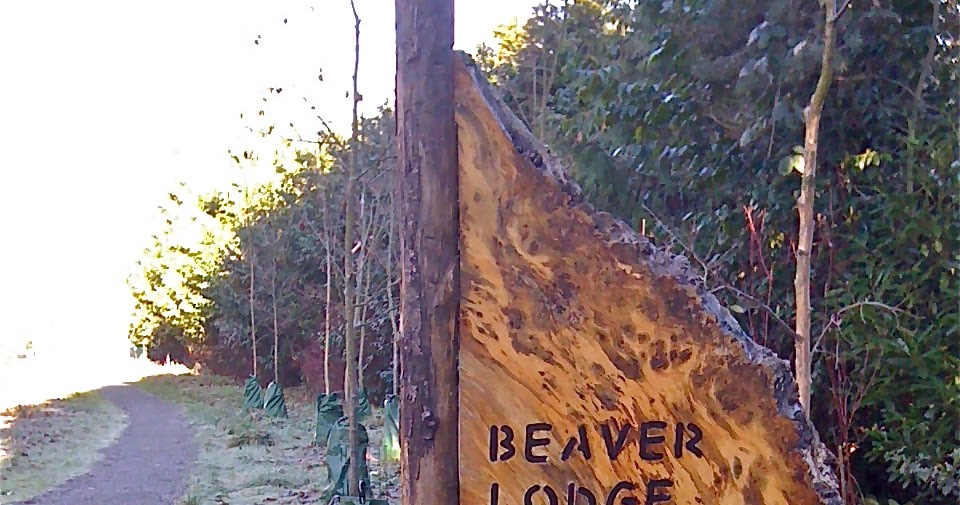Venture Out Leave it to Beavers Beaver Lodge Sanctuary, Seattle WA