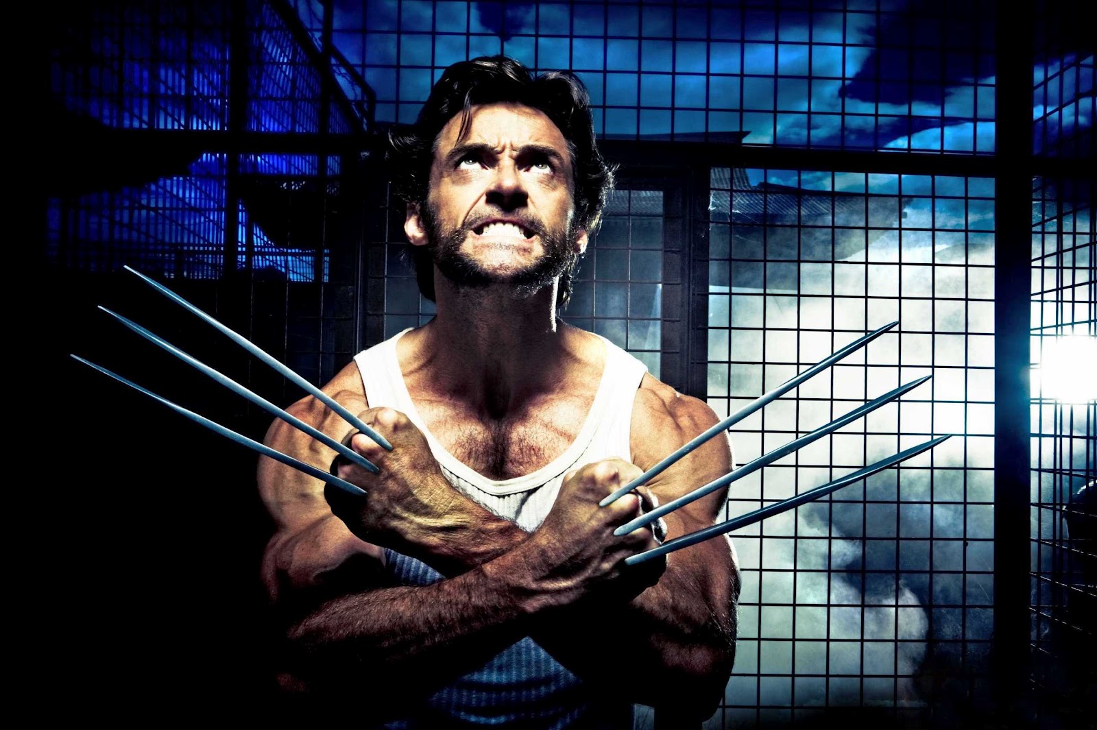 http://4.bp.blogspot.com/-E3GA3vOepRA/T_x_VC1TsfI/AAAAAAAABPo/2MlFVgXJKbo/s1600/x-men_origins_wolverine_movie_image_hugh_jackman_01.jpg