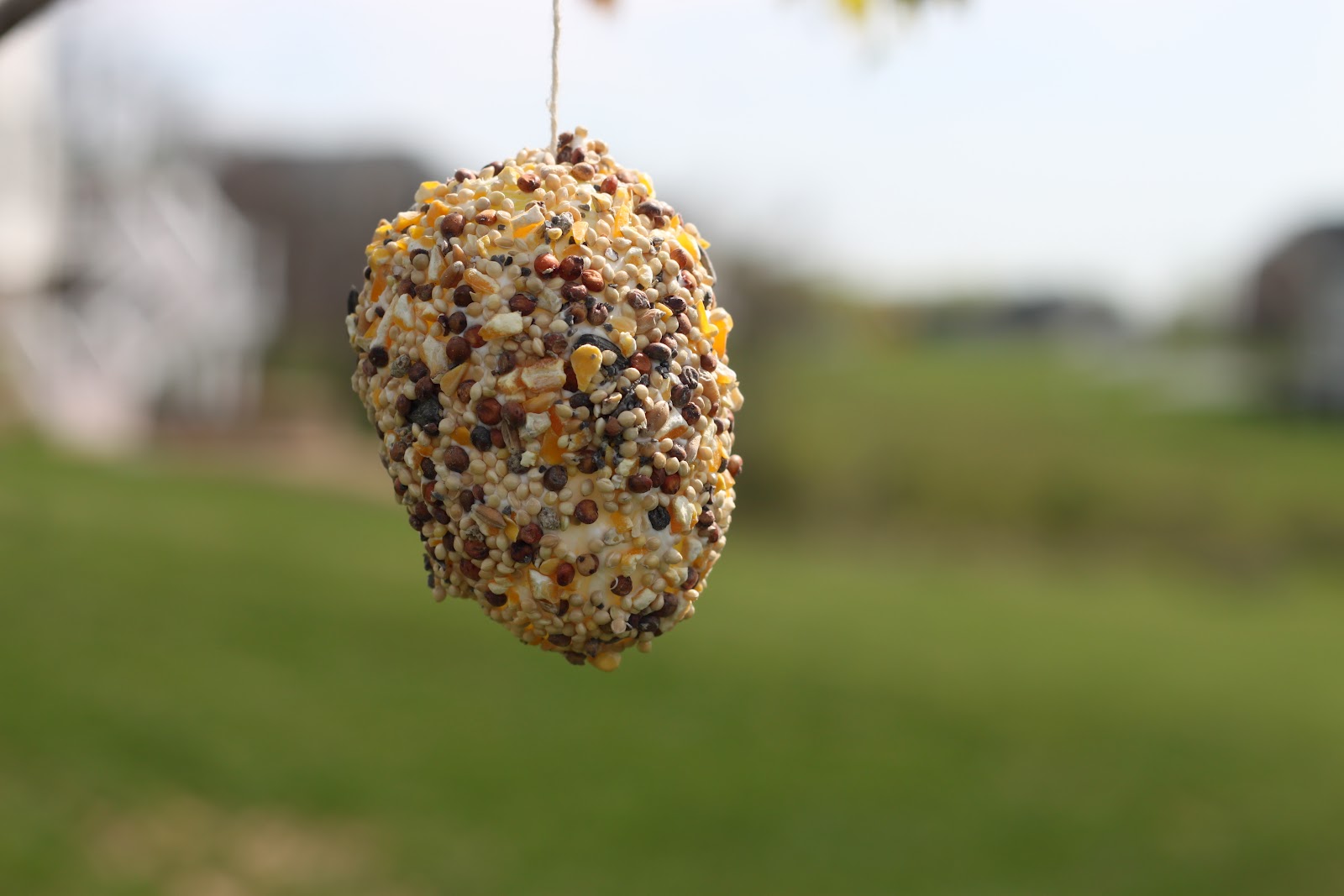 Playing House Easter Egg Bird Feeders