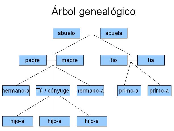 COMO REALIZAR UN ARBOL GENEALOGICO como realizar un arbol genealogico: