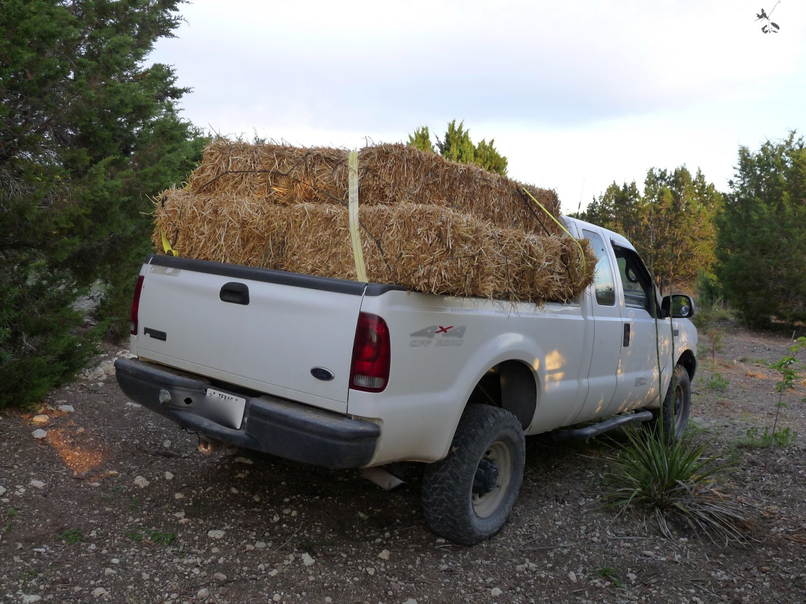 Farm Natters Twenty Bales in a 19Bale Truck