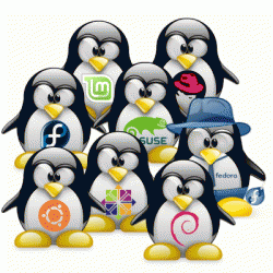 El ABC del Linux!