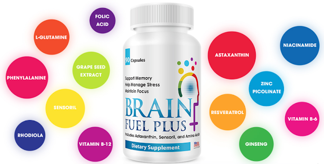 Brain Fuel PLUS Ingredients