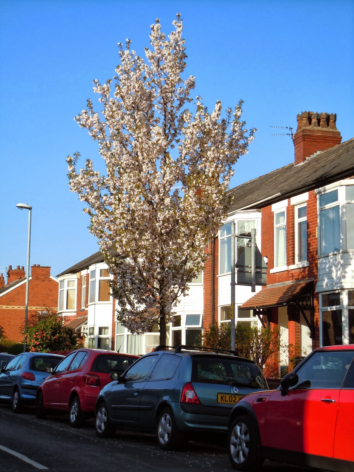 Ellesmere Port Green Streets October 2013