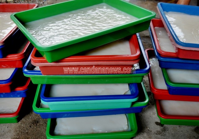 Kelapa Berlimpah Laki Laki Ini Produksi Nata De Coco Cendana News