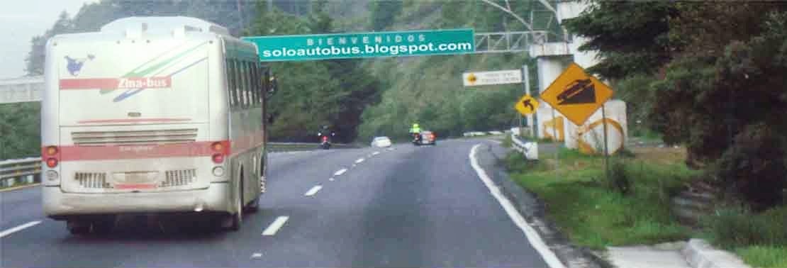 SOLO AUTOBUS