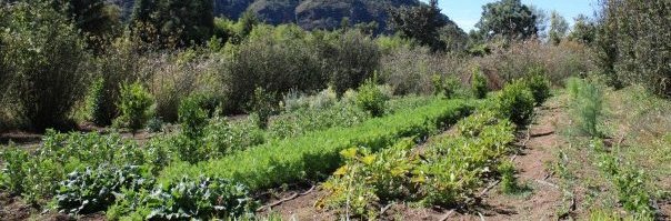 Rancho Ecológico 'El Amate'