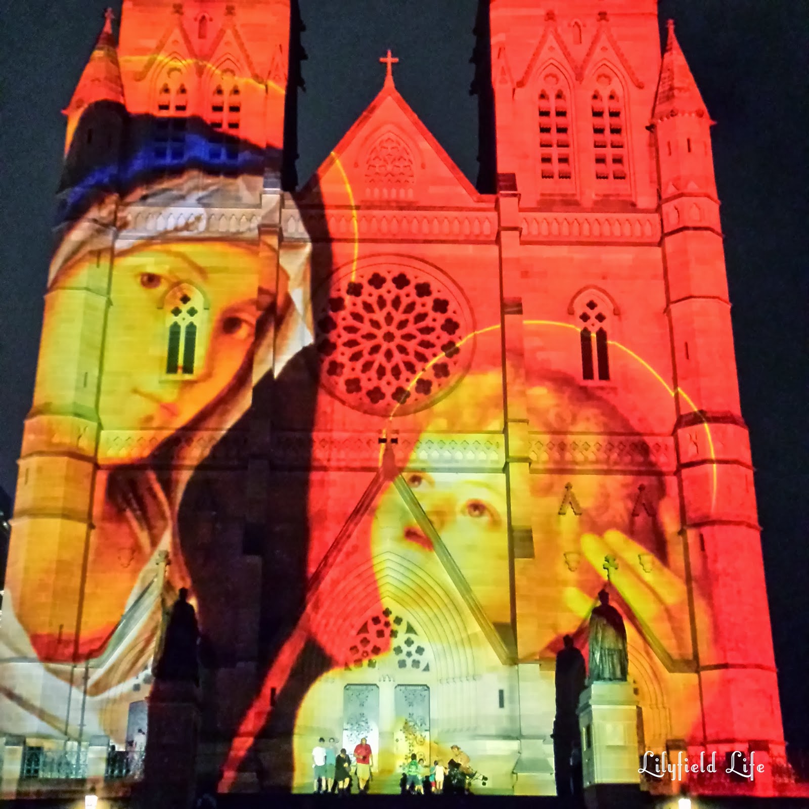 Lilyfield Life Christmas Lights at St Mary's Cathedral