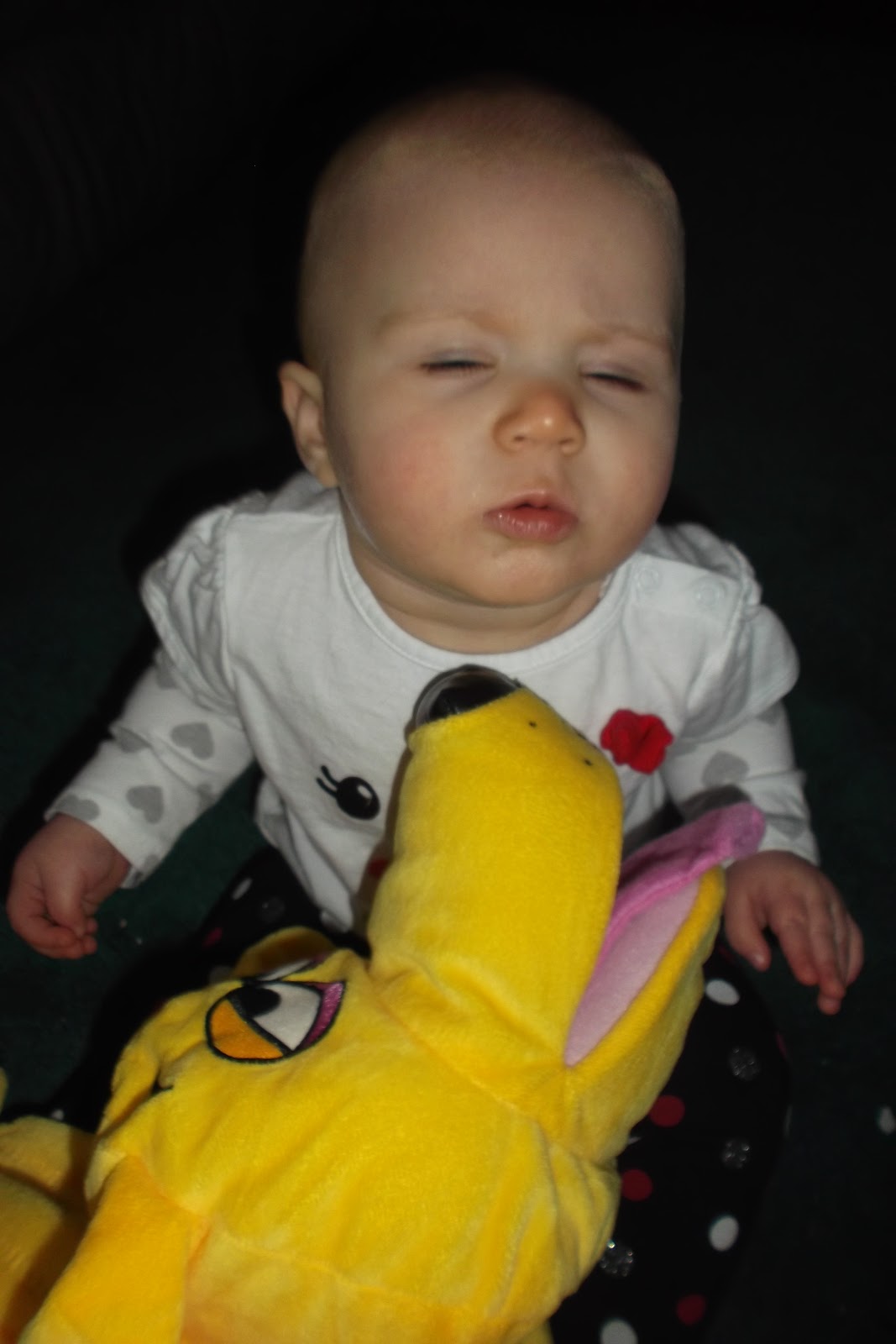 http://4.bp.blogspot.com/-E5OYbzJssUs/UKUvla2CcmI/AAAAAAAAFOw/CPFHW_ggw3Y/s1600/CuddleUppets%2BDog.jpg