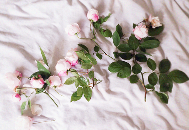 Wild Roses Blog Fashion blogger