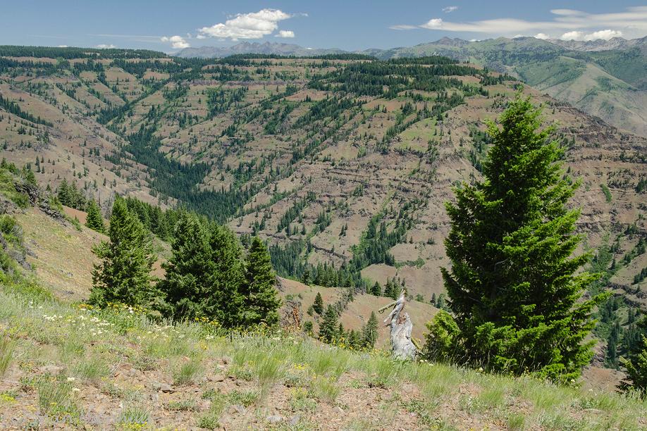 Pacific Northwest Photography Oregon Hell's Canyon Overlook