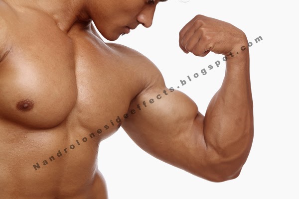 Deca Durabolin For Bulking And Lean Muscle Mass