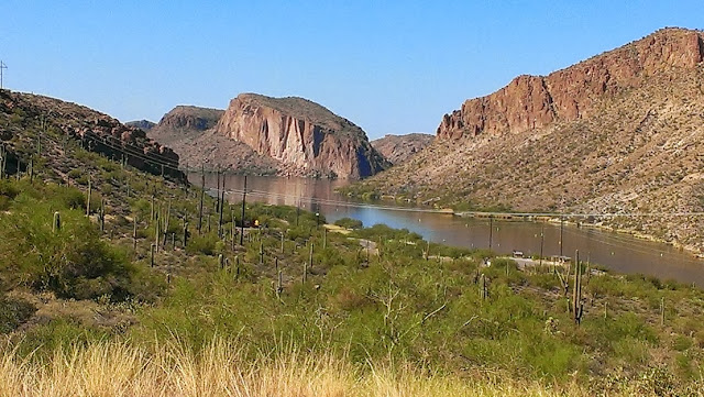 Canyon lake and cactus
