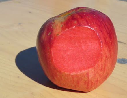 Ruby Red Ruby Red Apple