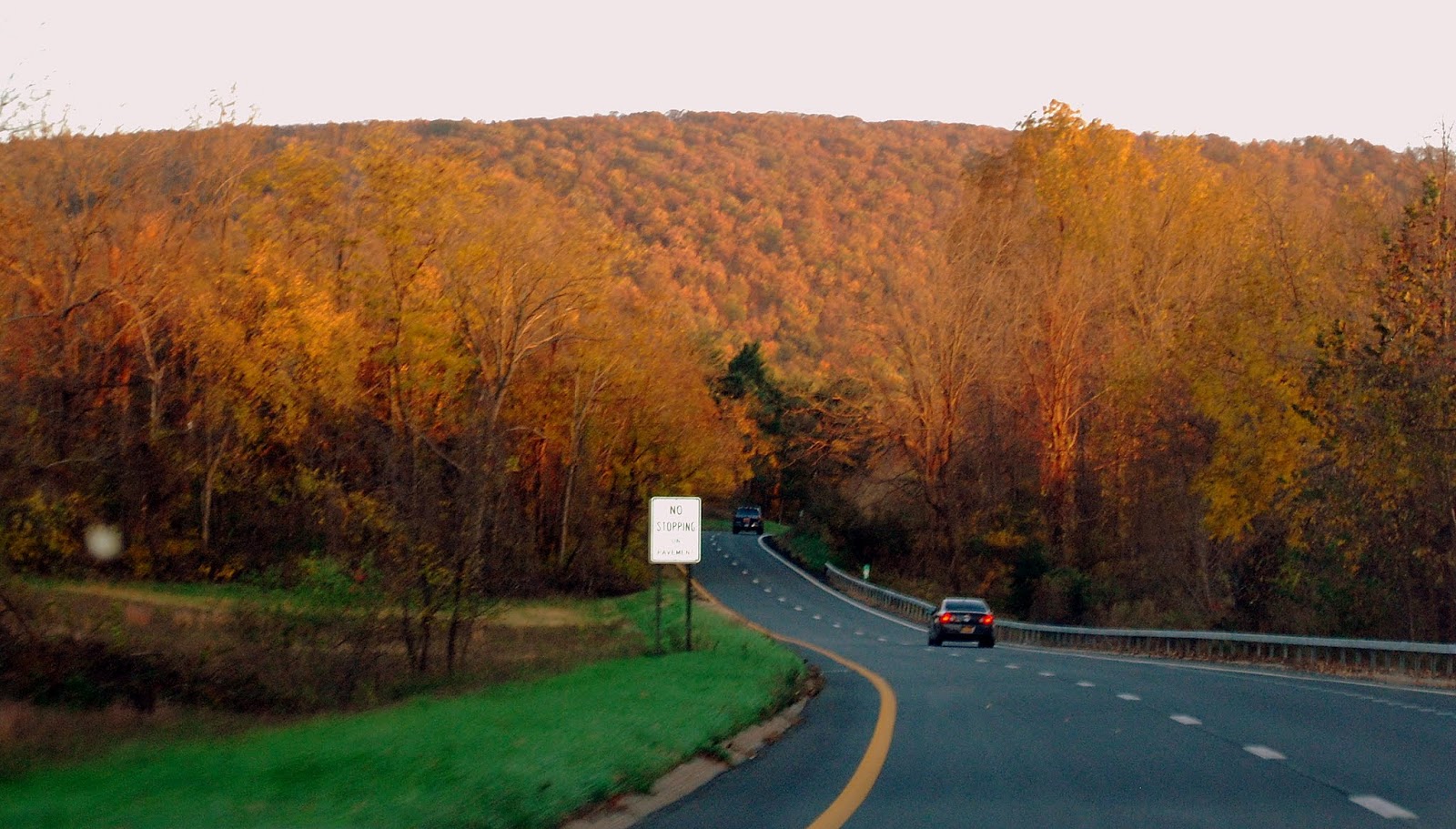 Mille Fiori Favoriti Beautiful Rhinebeck on the Hudson River