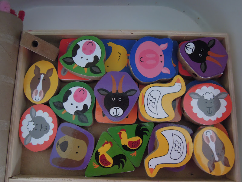 My Raina Sunshine Simple Solutions Pipe Cleaner Storage