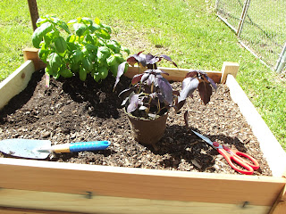 How to be Awesome at Everything: How to Be Awesome at Gardening