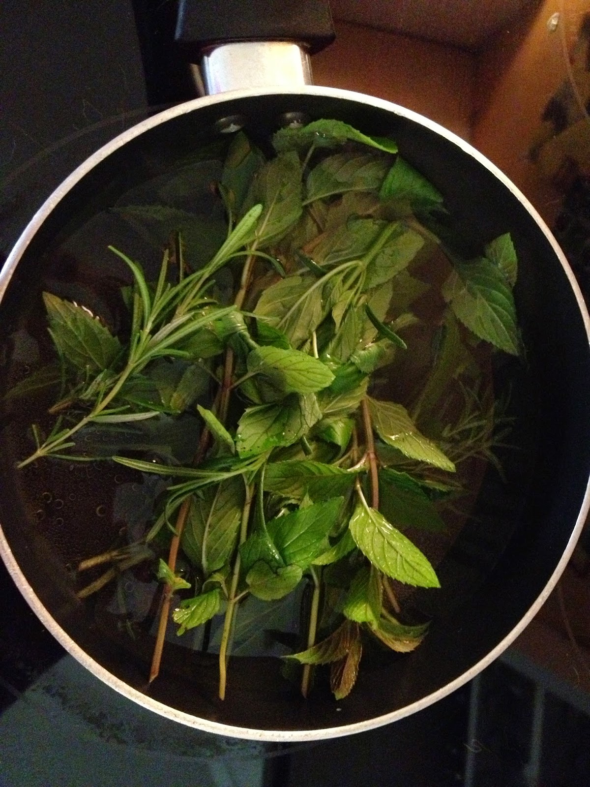 Share It Network Eucalyptus Mint Steam Inhalations for Bronchitis Relief