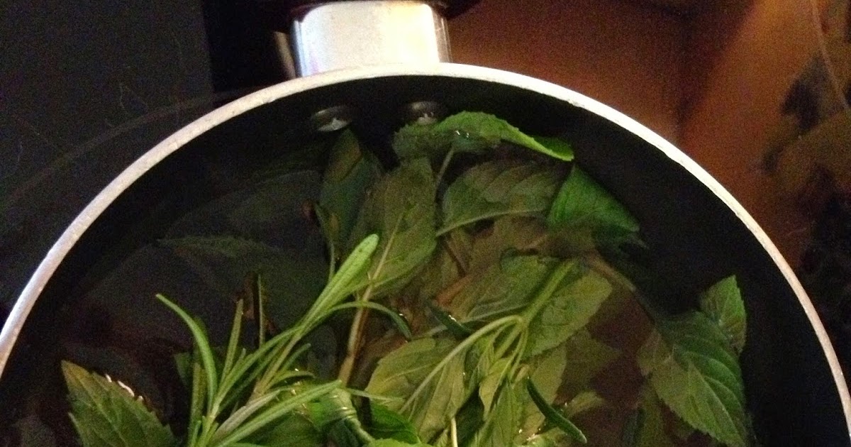 Share It Network Eucalyptus Mint Steam Inhalations for Bronchitis Relief