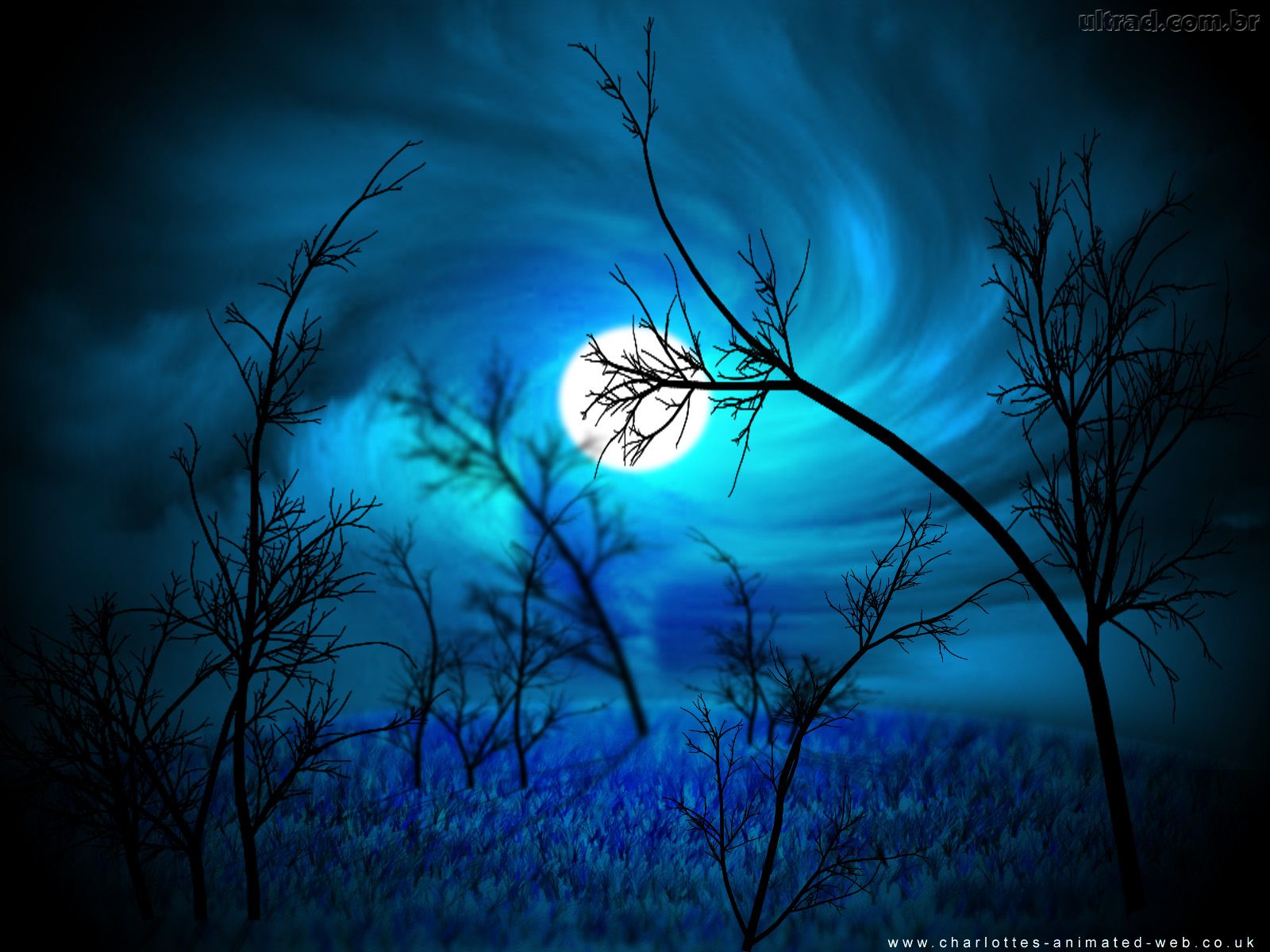 http://4.bp.blogspot.com/-E6YmdfJbYt4/T8A0BcFLYSI/AAAAAAAACEM/NPRzTazVhDo/s1600/Floresta-Papel-de-Parede-MegaWallpapersHDblogspot+(6).jpg