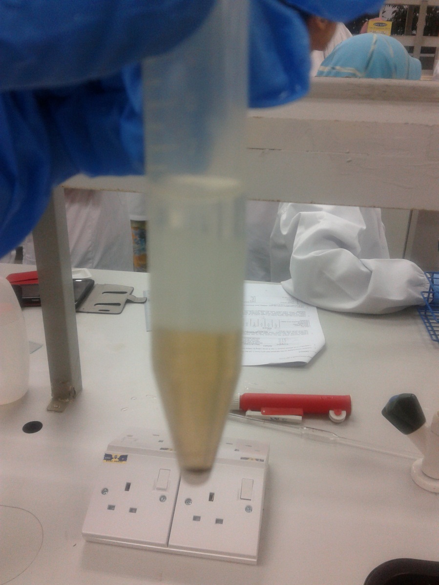 A4 Technology Pharmaceutical EXPERIMENT 1 EMULSION (PART 2)