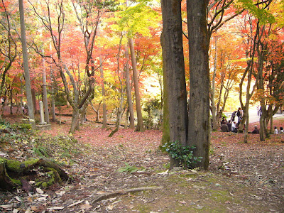 滋賀県・奥びわ湖 鶏足寺の紅葉