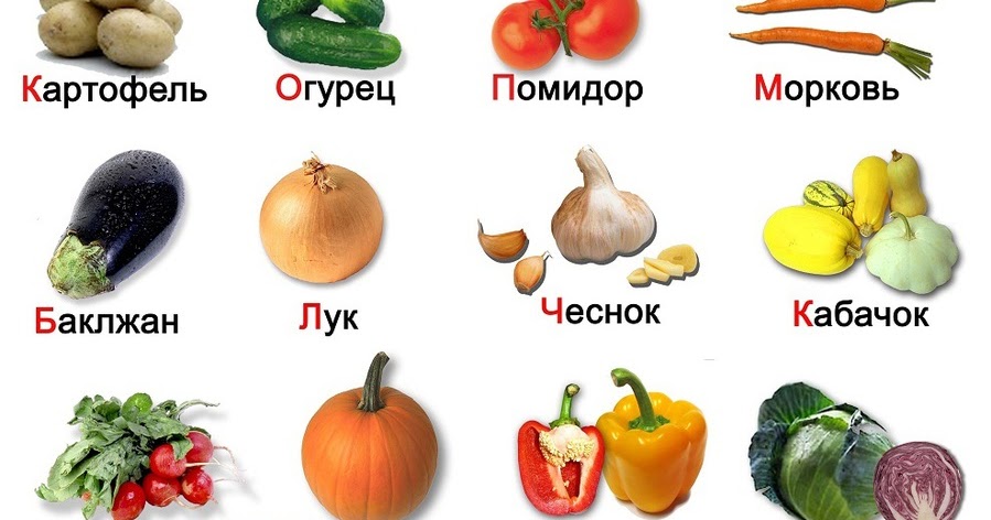 Пеларгония зональная: сорта, уход и размножение Косточки яблока польза и вред, можно ли употреблять в пищу