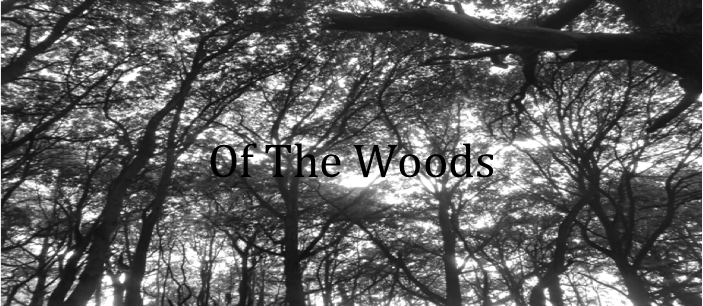 Of The Woods