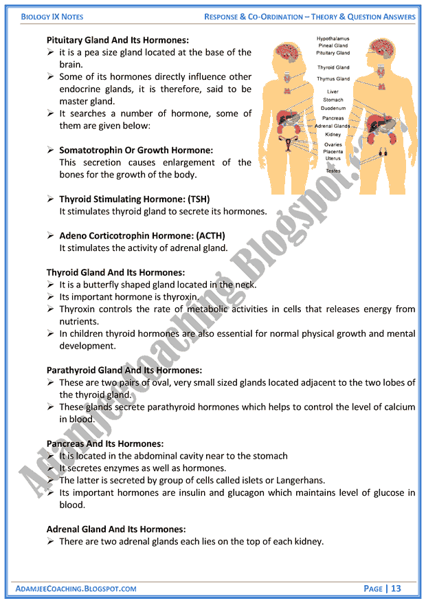 response-and-coordination-theory-notes-and-question-answers-biology-notes-for-class-9th