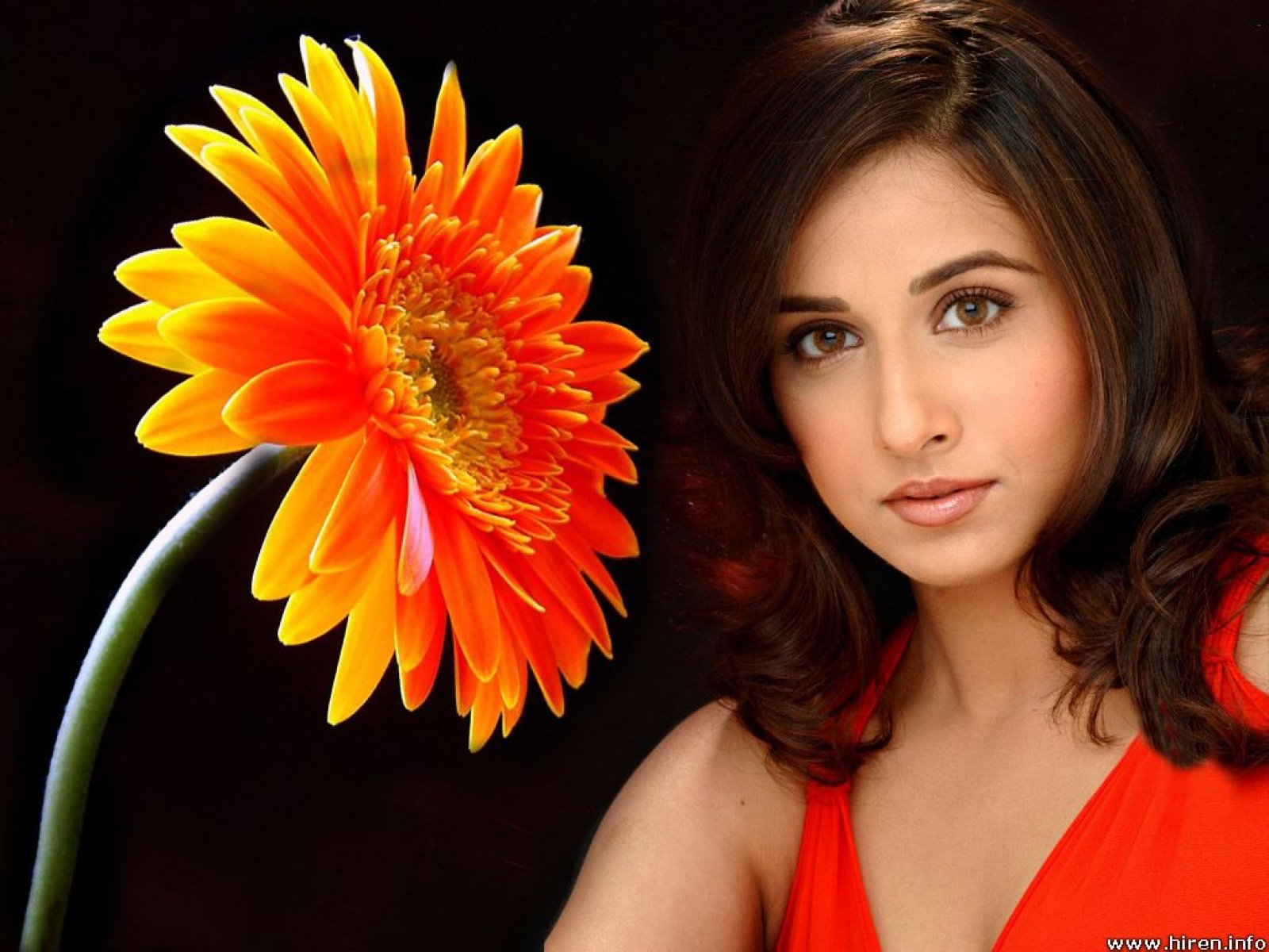 http://4.bp.blogspot.com/-E8yKAIC5ViI/TfzOGrlT8uI/AAAAAAAAA_0/cZnd58bVU-k/s1600/Vidya+Balan+hot%252Bsexy+wallpaper%252Bphoto+%252824%2529.jpg