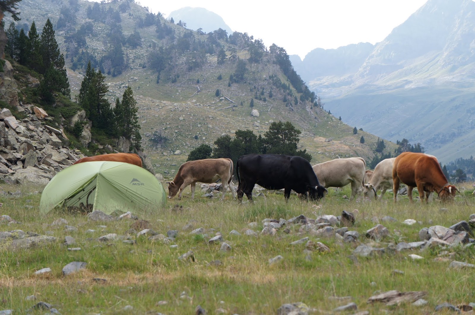 Vos plus belles photos de camping HRP2012+%2528760%2529