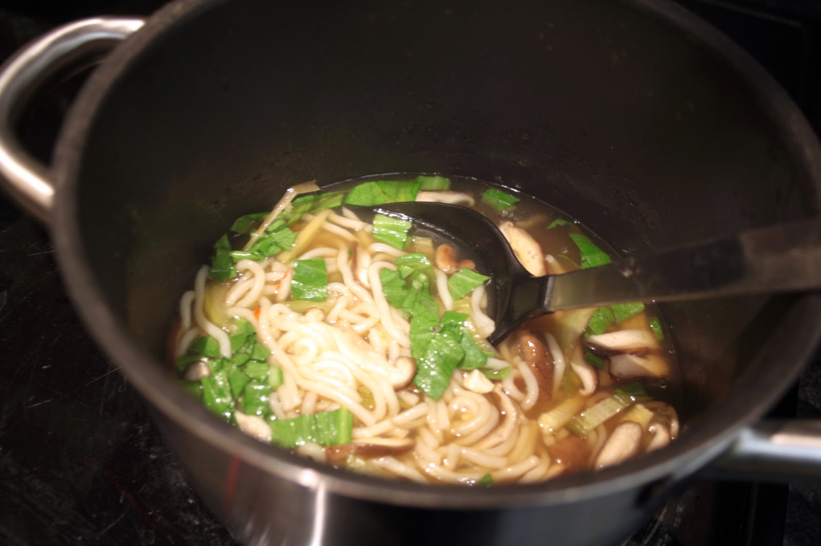 Asian Style Noodle Soup